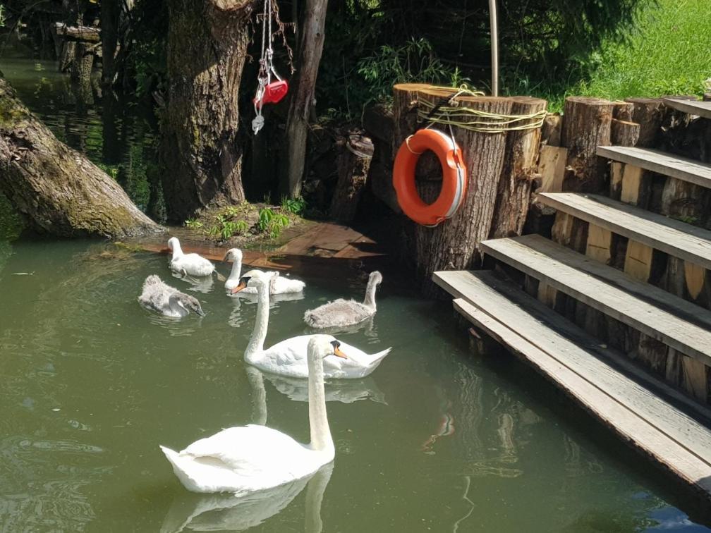River Houses Ljubljanica 卢布尔雅那 外观 照片